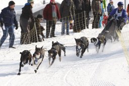 Lenk 2012 SM